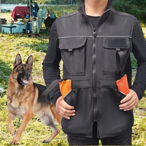Dog training vest - dog,