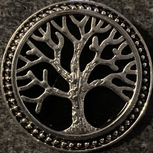 SILVER–T