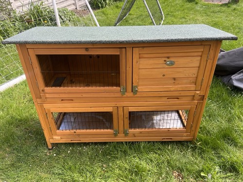 Rabbit guinea pig - rabbit, hutch