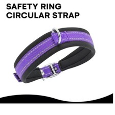 NYLON DOG COLLAR SOFT PADDED