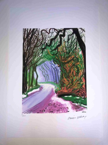 David hockney lithography - hockney, off
