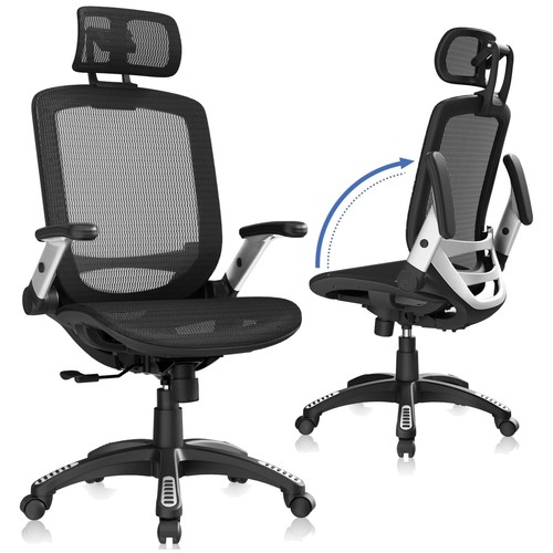 Stylish ergonomic task - task, chair