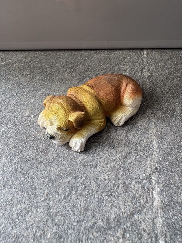 Sleeping bulldog puppy - sleeping,
