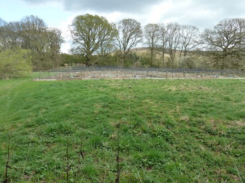 Photo pheasant pens near - a3,