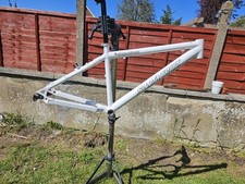 Rare Mk1 Santa Cruz Chameleon