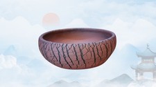 Shallow rustic midi crackle - midi,