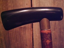 walking stick WATER BUFFALO