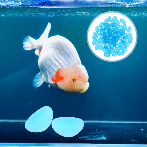 Aquarium pebbles for fish - aquarium,