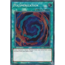 LCKC-EN026 Polymerization 