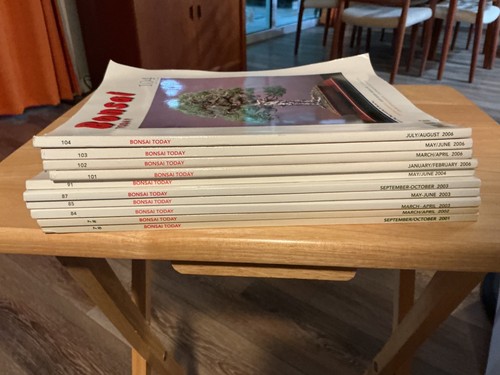 Bonsai today magazines 2001 - bonsai,