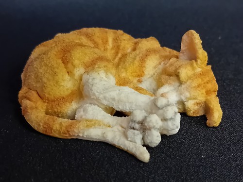 Breed apart sleepy ginger - apart,
