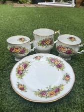 Elizabethan staffordshire - elizabethan,