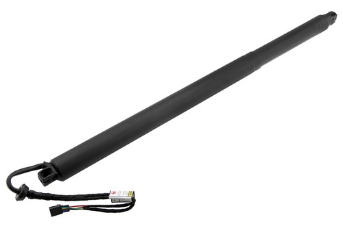 Gas strut tailgate fits for - tailgate,