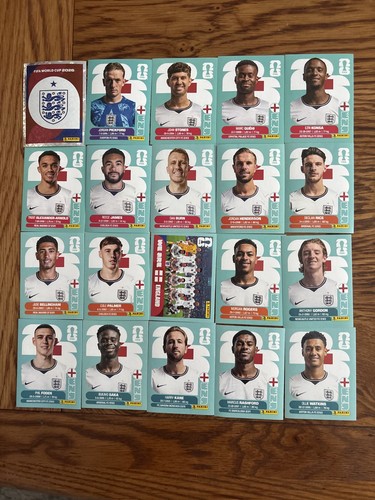 Panini fifa world - panini,