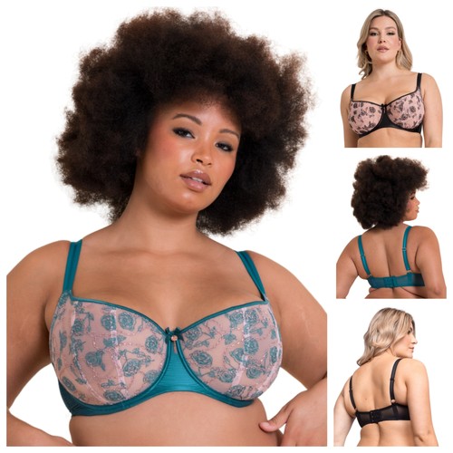 Scantilly curvy kate - scantilly, by