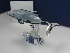 Swarovski SCS Annual Edition