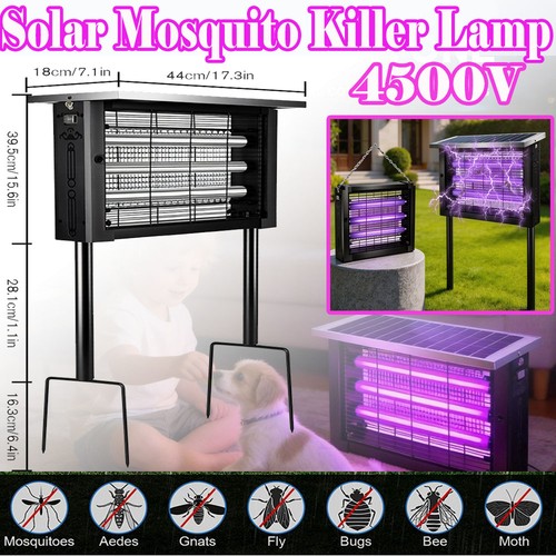 Powerful large solar bug - large,