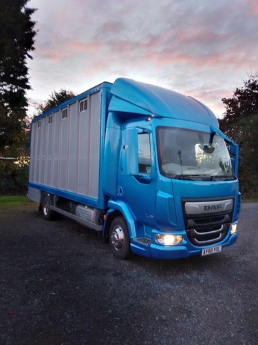 Horsebox ton - 7.5,