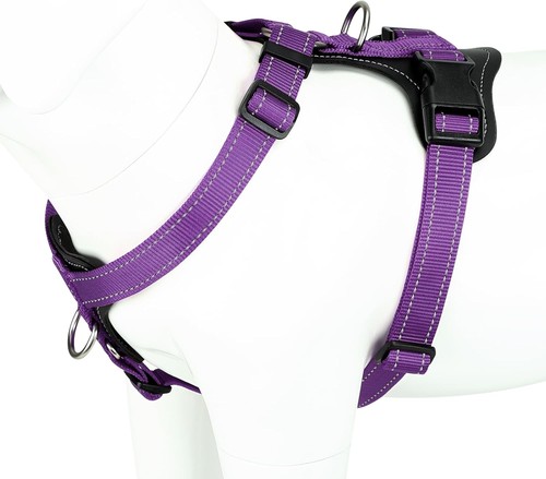 Plutus pet pull - plutus, no