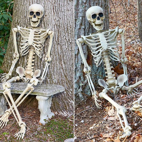 Halloween skeleton life size - skeleton,