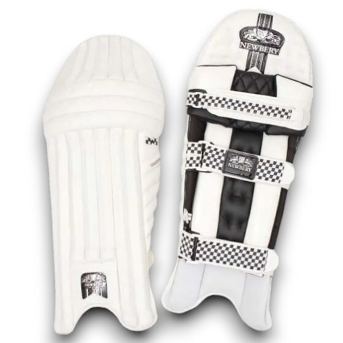 Newbery thruxton cricket - newbery,