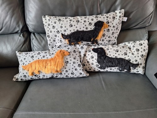 Long haired dachshund - haired, cushions