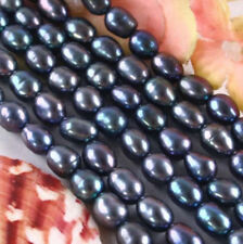 Real Natural 7x9mm Black Akoya