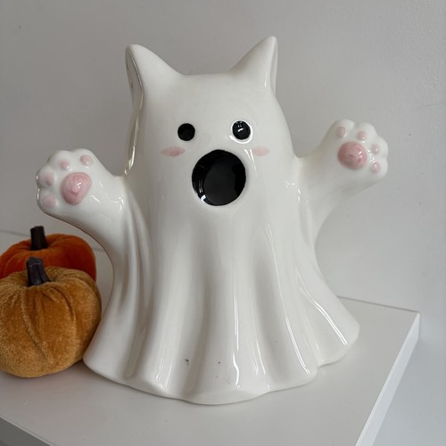 Maxx halloween cat - maxx,