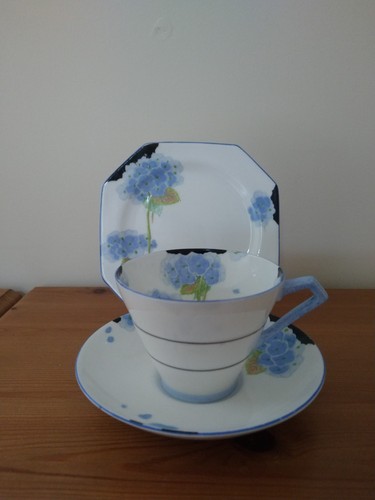 Paragon blue hydrangea - paragon,