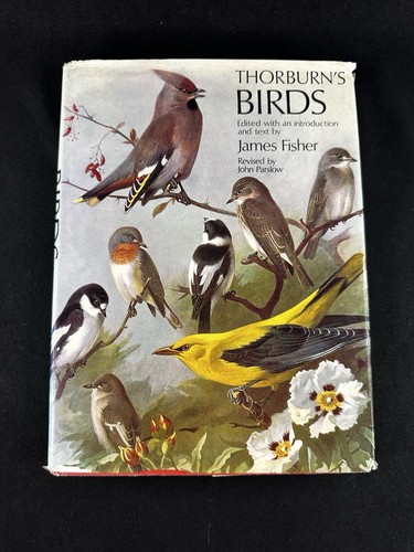 Vintage thorburn birds by - vintage,