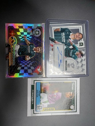Panini efl plymouth argyle - panini,