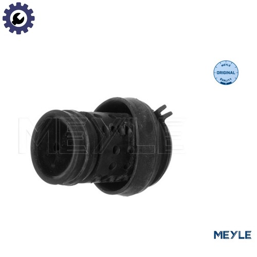 Mounting engine 100 - engine, 0036