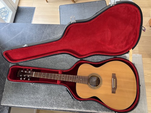 Freshman acoustic guitar - freshman,