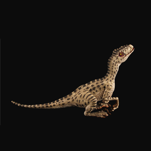 Rebor velociraptor couple rose - rebor,