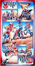 Nutex Motorcross Motorbike