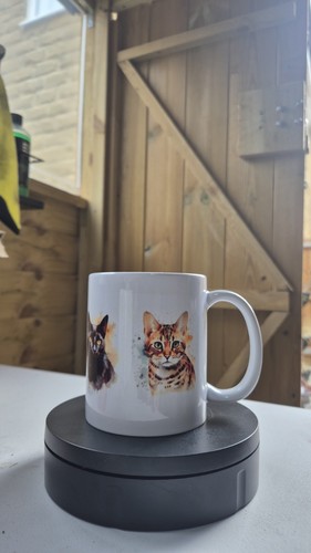 Cat 11oz coffee - 11oz, cats