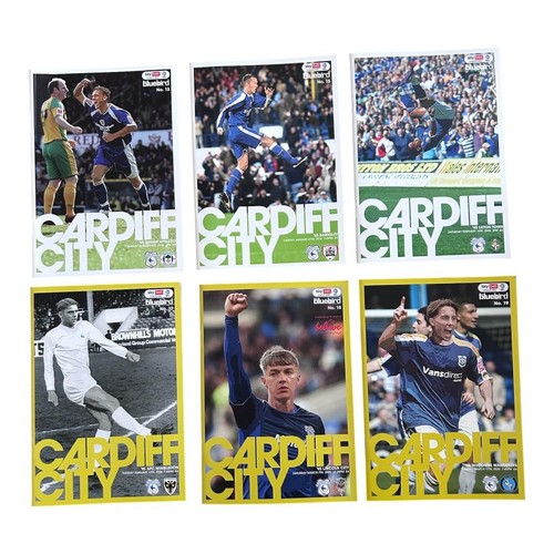 Cardiff city football - cardiff,