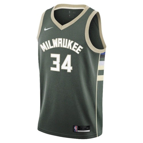 Milwaukee bucks nike icon - milwaukee,
