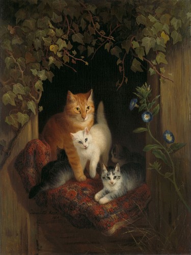 Henriette ronner knip cat - :, "cat