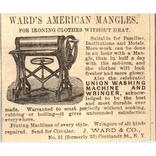 1878 Peterson's Magazine Ad -