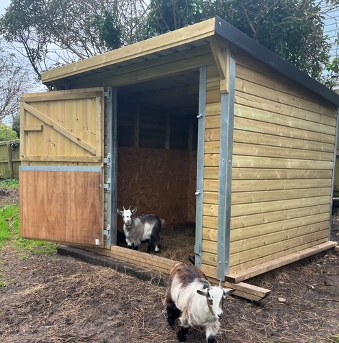 Mini pent timber single - pent,
