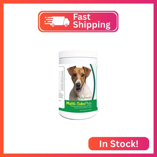 Healthy breeds jack russell - breeds,