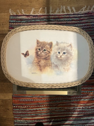 Vintage 1983 giordano kittens - giordano,