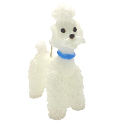 Mcm white standard poodle - standard,