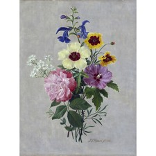 Pierre Joseph Redoute Flowers