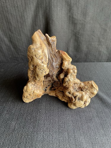 Driftwood burl sculpture - driftwood,