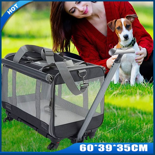 Large dog stroller - dog, puppy
