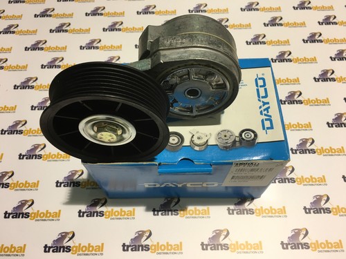 Fan belt tensioner for range - fan,