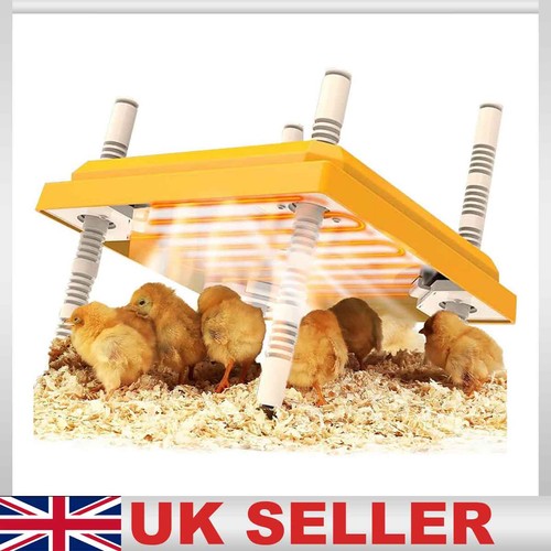 Adjustable chick breed brooder - adjustable,
