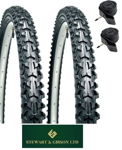 Pair mountain bike cycle - pair, bike/cycle